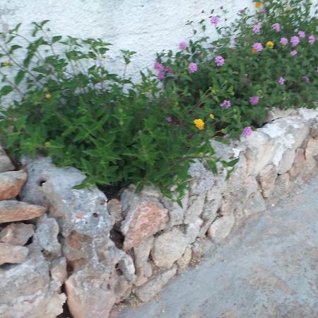La Villa Di Luca Ostuni Buitenkant foto